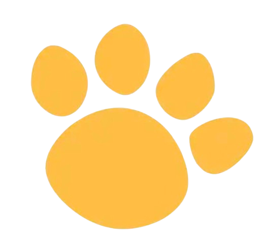  Pawszy Shop