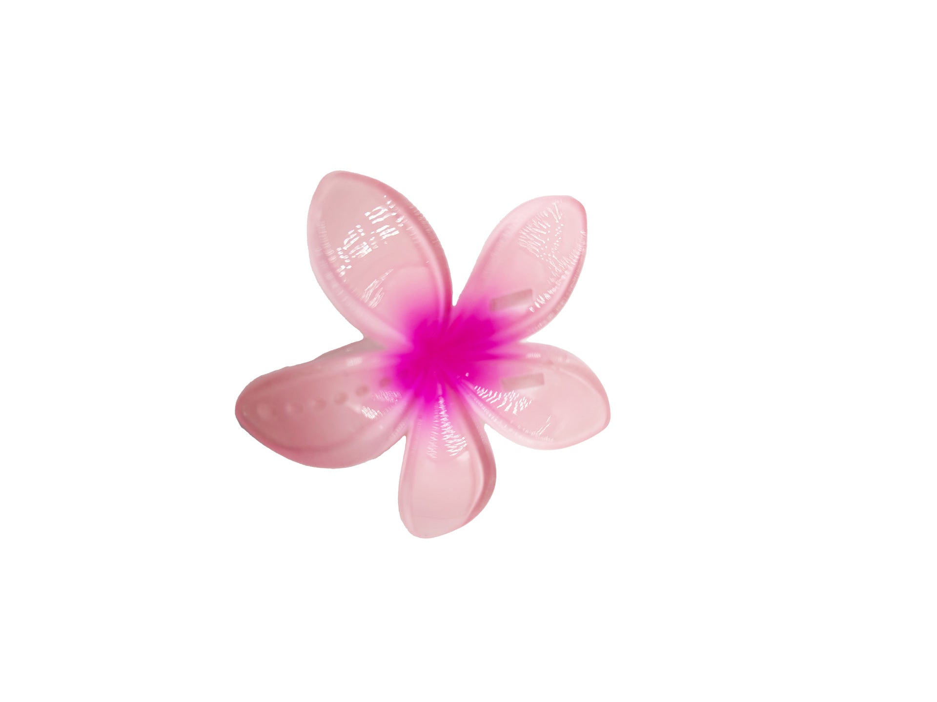 559d4b8f1d5fbcec770be4d902e847ab
